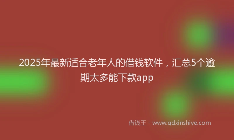 2025年最新适合老年人的借钱软件，汇总5个逾期太多能下款app