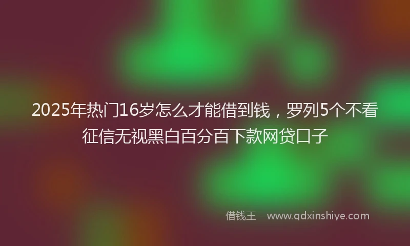 2025年热门16岁怎么才能借到钱，罗列5个不看征信无视黑白百分百下款网贷口子
