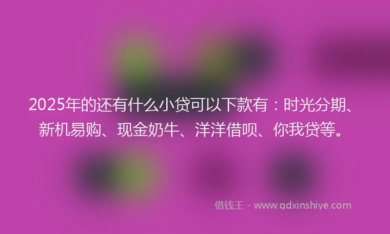 2025年的还有什么小贷可以下款有：时光分期、新机易购、现金奶牛、洋洋借呗、你我贷等。