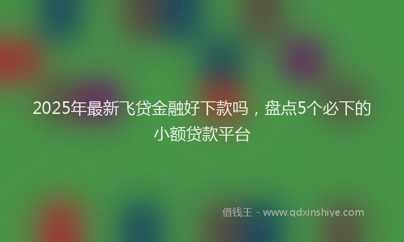2025年最新飞贷金融好下款吗，盘点5个必下的小额贷款平台