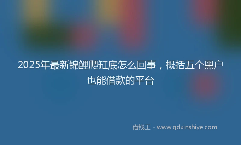 2025年最新锦鲤爬缸底怎么回事，概括五个黑户也能借款的平台