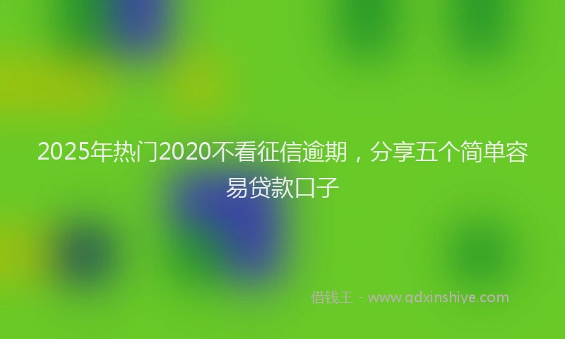 2025年热门2020不看征信逾期，分享五个简单容易贷款口子