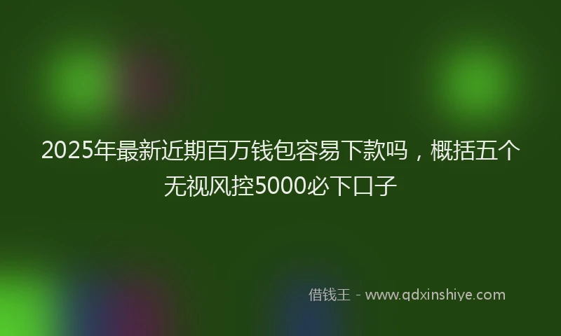 2025年最新近期百万钱包容易下款吗，概括五个无视风控5000必下口子