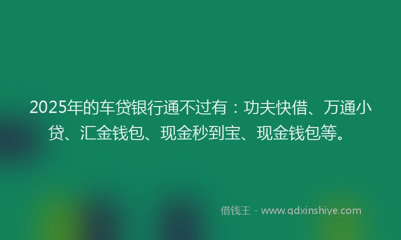2025年的车贷银行通不过有：功夫快借、万通小贷、汇金钱包、现金秒到宝、现金钱包等。