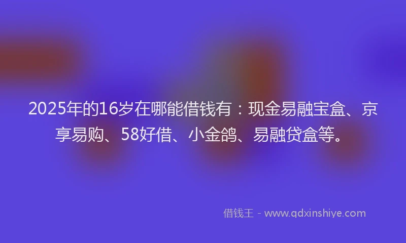 2025年的16岁在哪能借钱有：现金易融宝盒、京享易购、58好借、小金鸽、易融贷盒等。