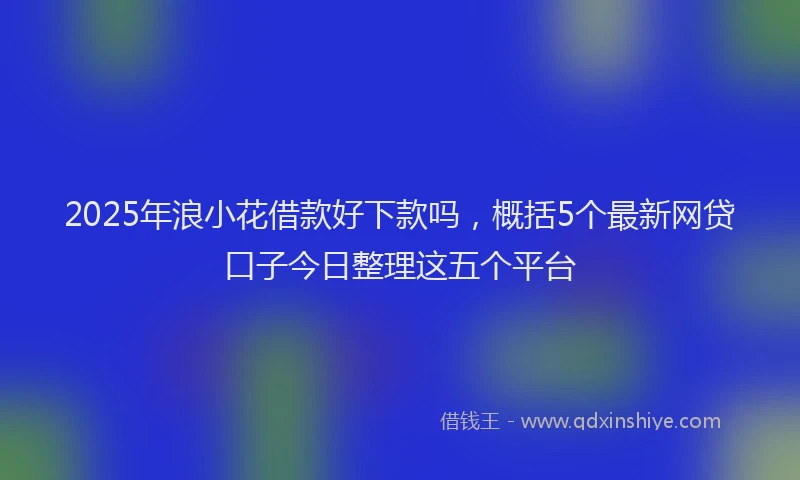 2025年浪小花借款好下款吗，概括5个最新网贷口子今日整理这五个平台