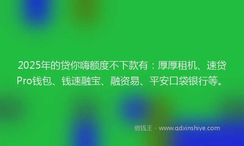 2025年的贷你嗨额度不下款有：厚厚租机、速贷Pro钱包、钱速融宝、融资易、平安口袋银行等。