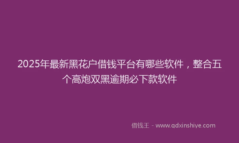 2025年最新黑花户借钱平台有哪些软件，整合五个高炮双黑逾期必下款软件
