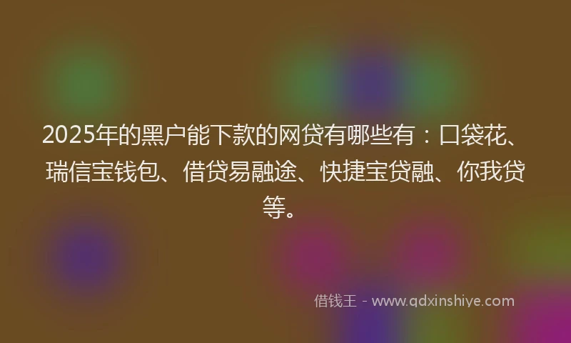 2025年的黑户能下款的网贷有哪些有：口袋花、瑞信宝钱包、借贷易融途、快捷宝贷融、你我贷等。