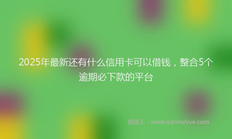 2025年最新还有什么信用卡可以借钱，整合5个逾期必下款的平台