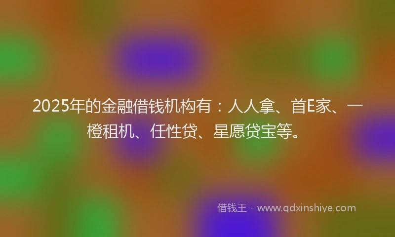 2025年的金融借钱机构有：人人拿、首E家、一橙租机、任性贷、星愿贷宝等。