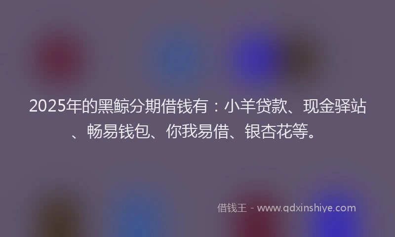 2025年的黑鲸分期借钱有：小羊贷款、现金驿站、畅易钱包、你我易借、银杏花等。