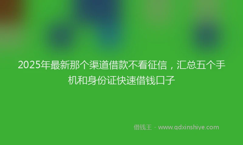 2025年最新那个渠道借款不看征信，汇总五个手机和身份证快速借钱口子