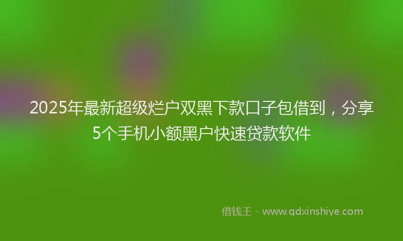 2025年最新超级烂户双黑下款口子包借到，分享5个手机小额黑户快速贷款软件