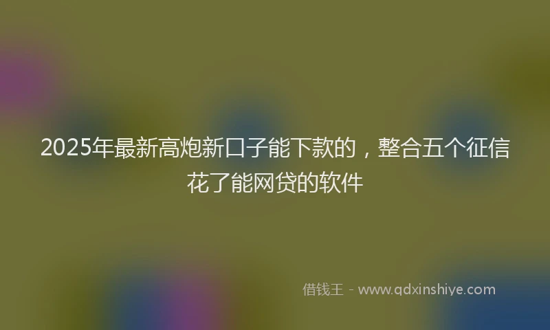 2025年最新高炮新口子能下款的，整合五个征信花了能网贷的软件