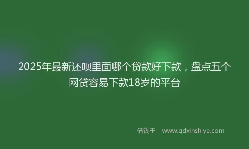 2025年最新还呗里面哪个贷款好下款，盘点五个网贷容易下款18岁的平台