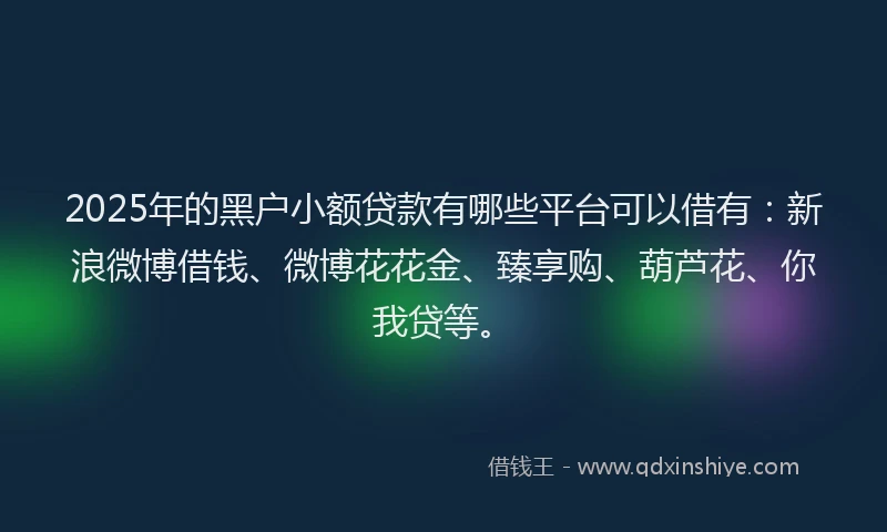 2025年的黑户小额贷款有哪些平台可以借有：新浪微博借钱、微博花花金、臻享购、葫芦花、你我贷等。