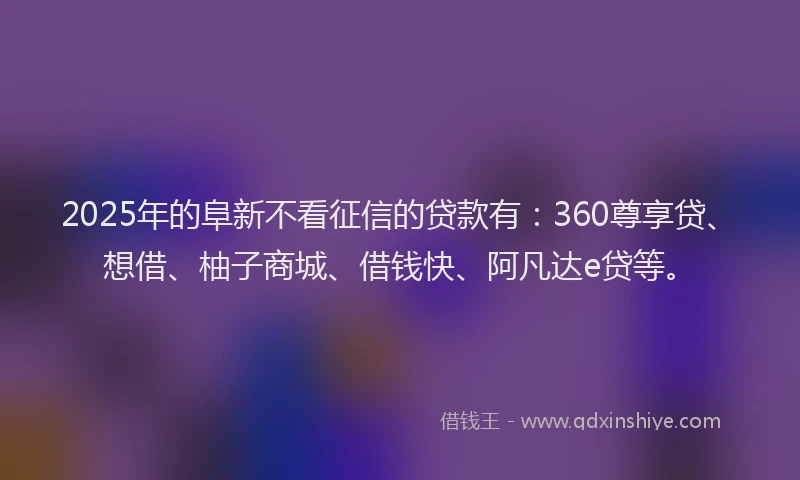 2025年的阜新不看征信的贷款有：360尊享贷、想借、柚子商城、借钱快、阿凡达e贷等。
