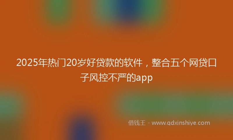 2025年热门20岁好贷款的软件，整合五个网贷口子风控不严的app