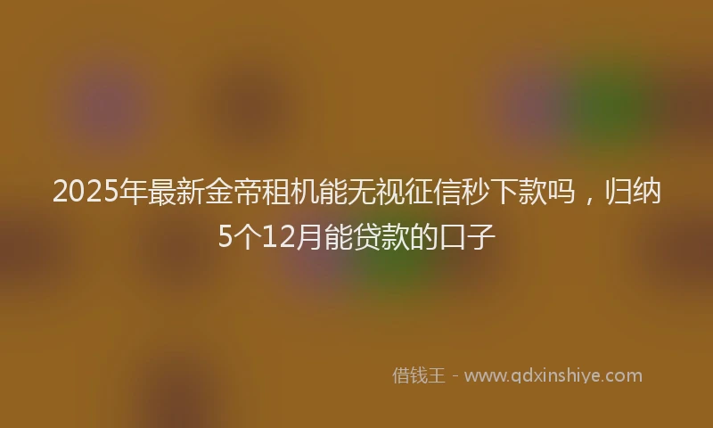2025年最新金帝租机能无视征信秒下款吗，归纳5个12月能贷款的口子