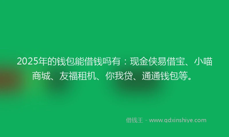 2025年的钱包能借钱吗有：现金侠易借宝、小喵商城、友福租机、你我贷、通通钱包等。