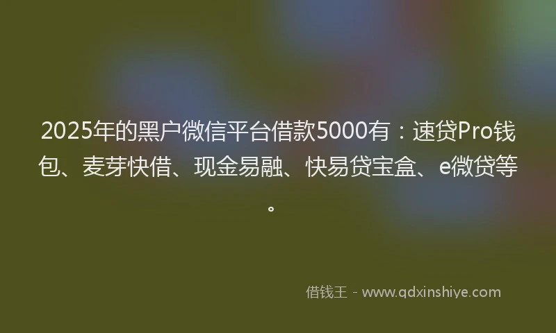 2025年的黑户微信平台借款5000有：速贷Pro钱包、麦芽快借、现金易融、快易贷宝盒、e微贷等。