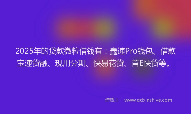 2025年的贷款微粒借钱有：鑫速Pro钱包、借款宝速贷融、现用分期、快易花贷、首E快贷等。