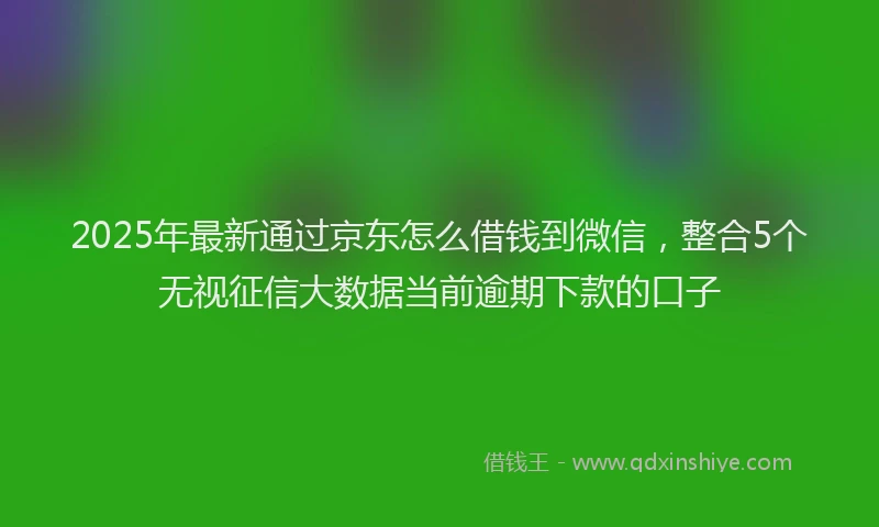 2025年最新通过京东怎么借钱到微信，整合5个无视征信大数据当前逾期下款的口子