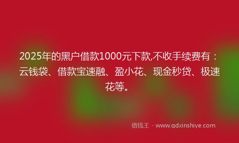 2025年的黑户借款1000元下款,不收手续费有：云钱袋、借款宝速融、盈小花、现金秒贷、极速花等。