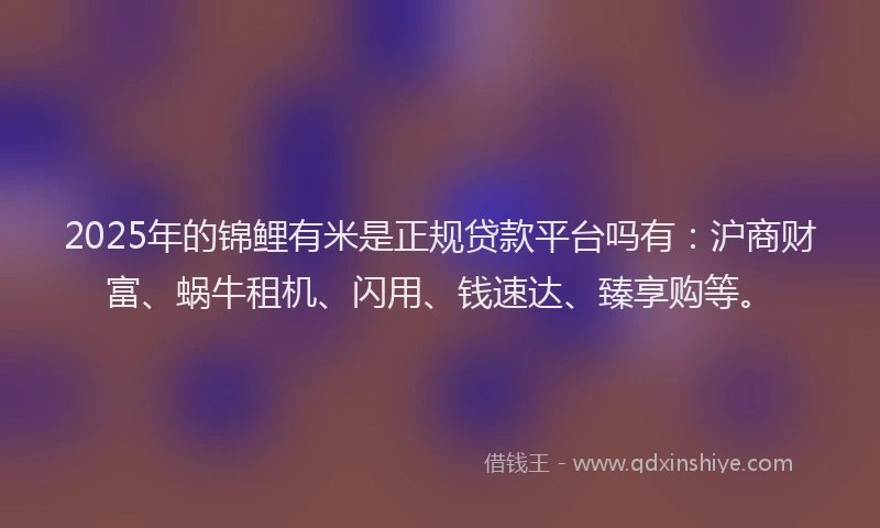 2025年的锦鲤有米是正规贷款平台吗有：沪商财富、蜗牛租机、闪用、钱速达、臻享购等。