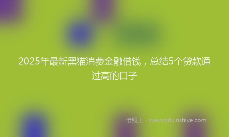 2025年最新黑猫消费金融借钱，总结5个贷款通过高的口子