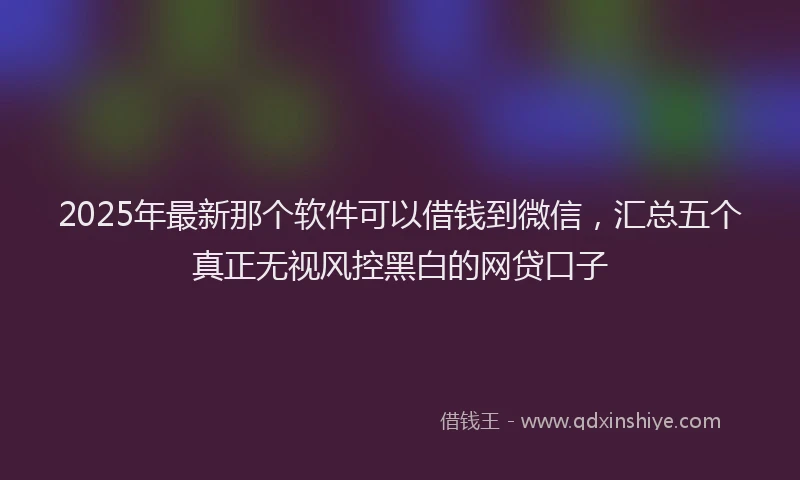2025年最新那个软件可以借钱到微信，汇总五个真正无视风控黑白的网贷口子