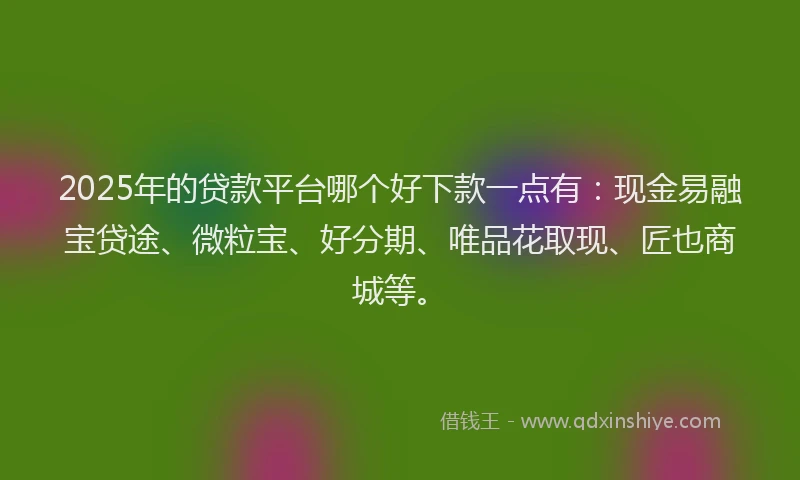 2025年的贷款平台哪个好下款一点有：现金易融宝贷途、微粒宝、好分期、唯品花取现、匠也商城等。