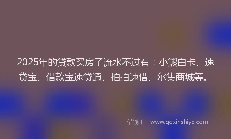2025年的贷款买房子流水不过有：小熊白卡、速贷宝、借款宝速贷通、拍拍速借、尔集商城等。