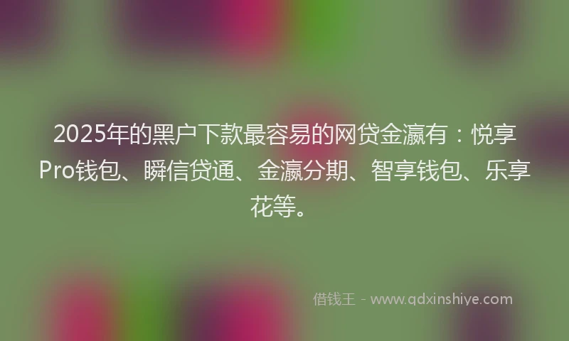 2025年的黑户下款最容易的网贷金瀛有：悦享Pro钱包、瞬信贷通、金瀛分期、智享钱包、乐享花等。