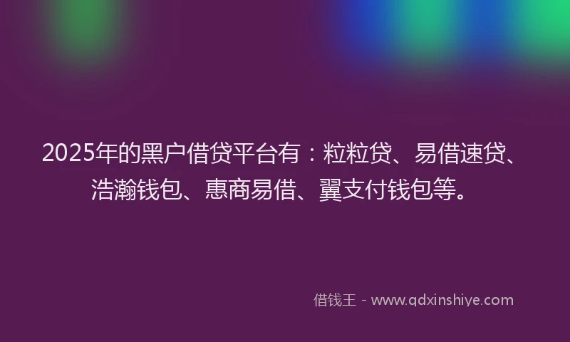 2025年的黑户借贷平台有：粒粒贷、易借速贷、浩瀚钱包、惠商易借、翼支付钱包等。