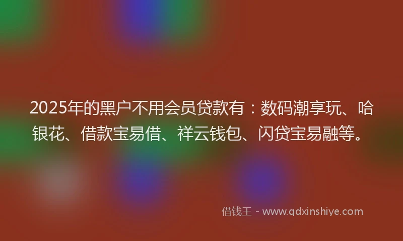 2025年的黑户不用会员贷款有：数码潮享玩、哈银花、借款宝易借、祥云钱包、闪贷宝易融等。