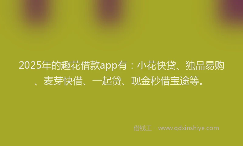 2025年的趣花借款app有：小花快贷、独品易购、麦芽快借、一起贷、现金秒借宝途等。