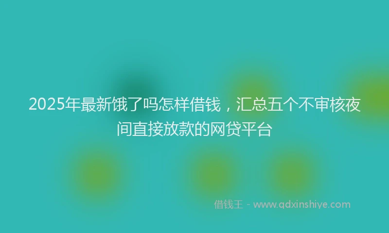 2025年最新饿了吗怎样借钱，汇总五个不审核夜间直接放款的网贷平台