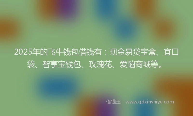 2025年的飞牛钱包借钱有：现金易贷宝盒、宜口袋、智享宝钱包、玫瑰花、爱蹦商城等。
