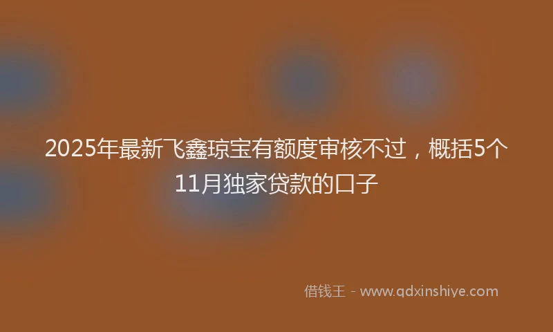 2025年最新飞鑫琼宝有额度审核不过，概括5个11月独家贷款的口子