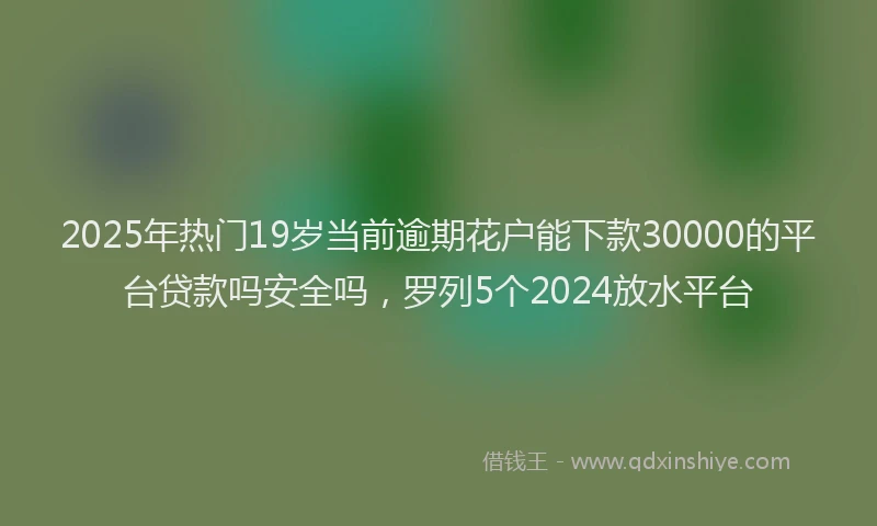 2025年热门19岁当前逾期花户能下款30000的平台贷款吗安全吗，罗列5个2024放水平台
