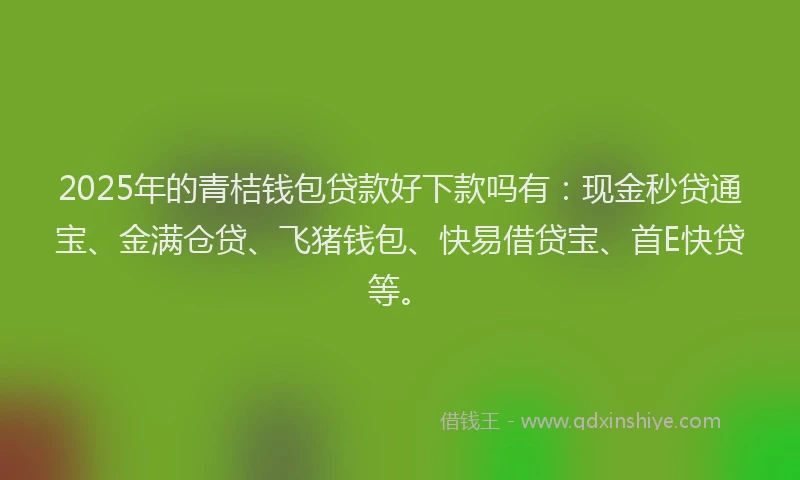 2025年的青桔钱包贷款好下款吗有：现金秒贷通宝、金满仓贷、飞猪钱包、快易借贷宝、首E快贷等。