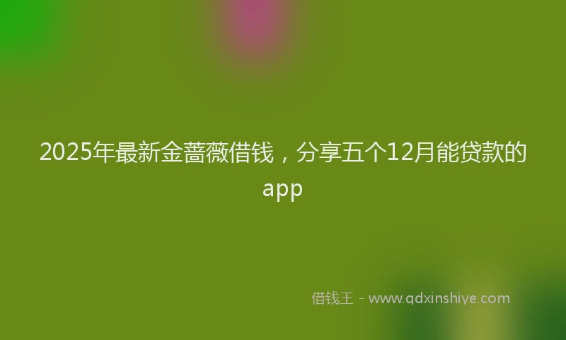 2025年最新金蔷薇借钱，分享五个12月能贷款的app