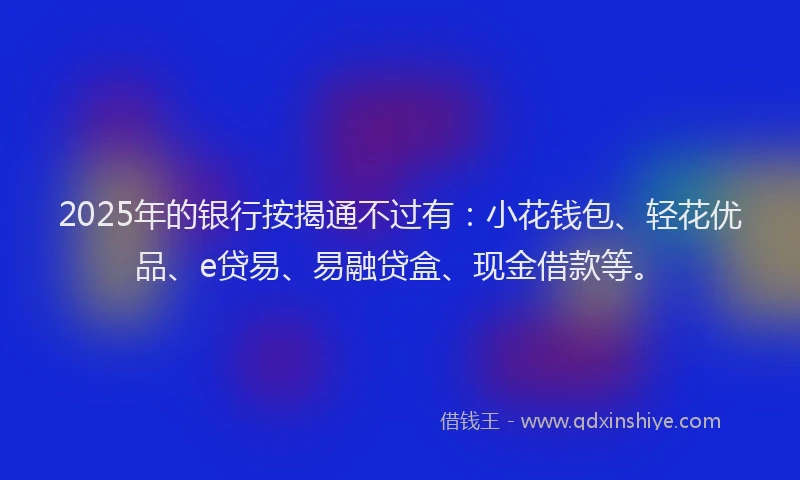 2025年的银行按揭通不过有：小花钱包、轻花优品、e贷易、易融贷盒、现金借款等。