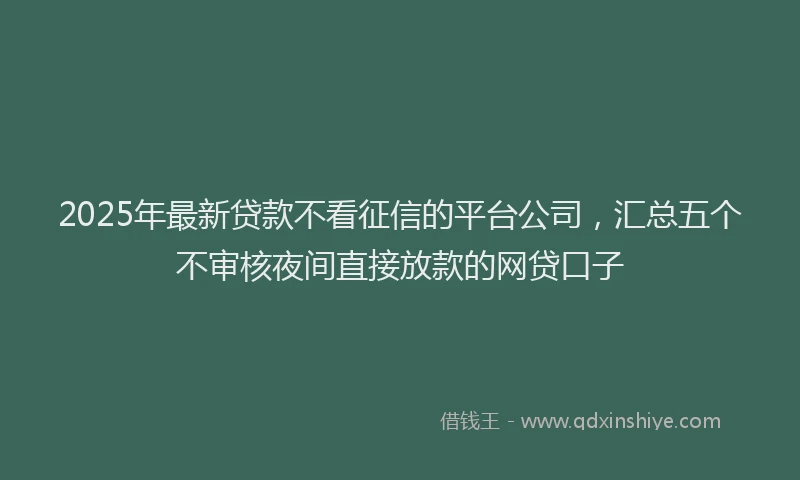 2025年最新贷款不看征信的平台公司，汇总五个不审核夜间直接放款的网贷口子