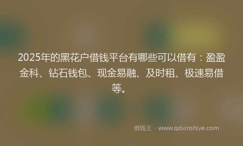 2025年的黑花户借钱平台有哪些可以借有：盈盈金科、钻石钱包、现金易融、及时租、极速易借等。