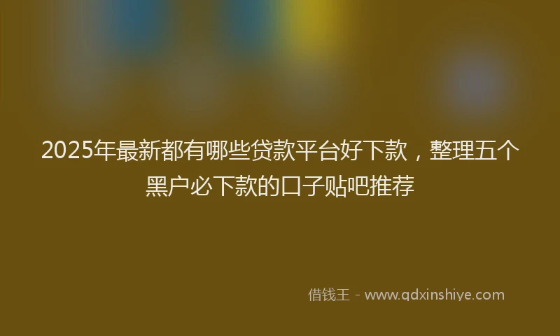 2025年最新都有哪些贷款平台好下款，整理五个黑户必下款的口子贴吧推荐
