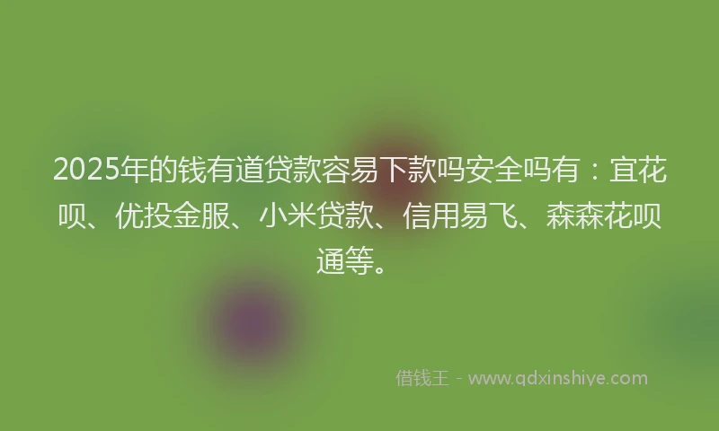 2025年的钱有道贷款容易下款吗安全吗有：宜花呗、优投金服、小米贷款、信用易飞、森森花呗通等。