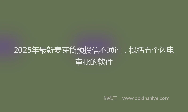 2025年最新麦芽贷预授信不通过，概括五个闪电审批的软件